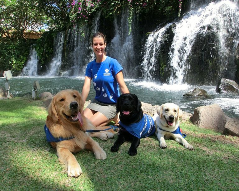 Dog trainer sitting with 3 dogs, a yellow lab, a black lab and a golden retreiver
